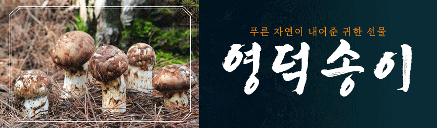 배너