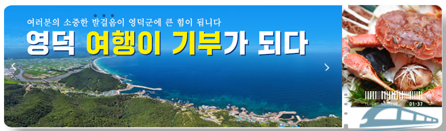 배너