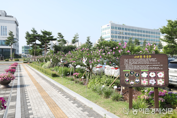 특별상: 충남도교육청 청사내 무궁화원