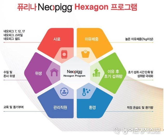 네오피그 앱솔루트 특성 및 효과