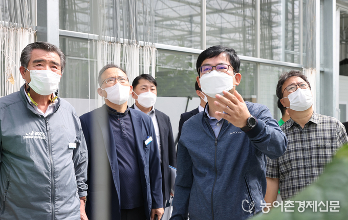 허태웅 농촌진흥청장이 16일 충남 보령시 오이 디지털농업 사업장에서 재배 온실과 지능형 육묘시설을 살펴보고 있다. <사진=농촌진흥청>